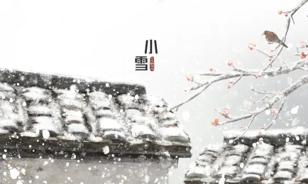 小雪2.webp.jpg