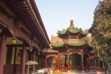 柏林.webp (1).jpg