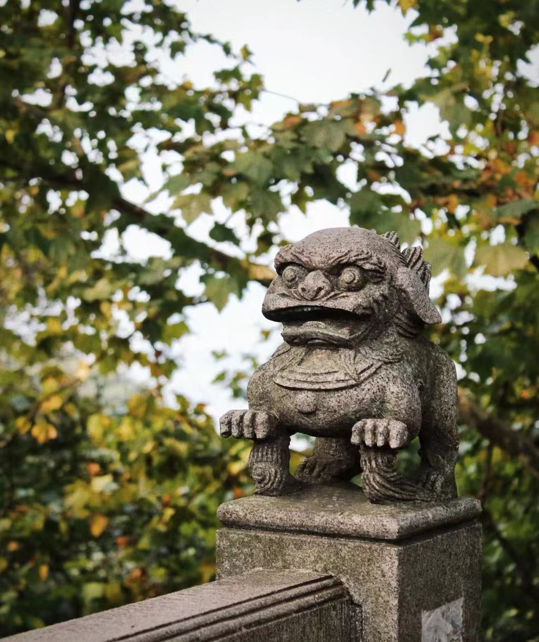 征服北高峰：灵顺寺登顶之旅，感受大自然的魅力