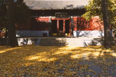 走进洛阳白马寺，让历史和信仰引领你的心灵之旅